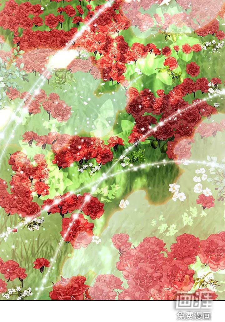 第194章：【番外完结】花海