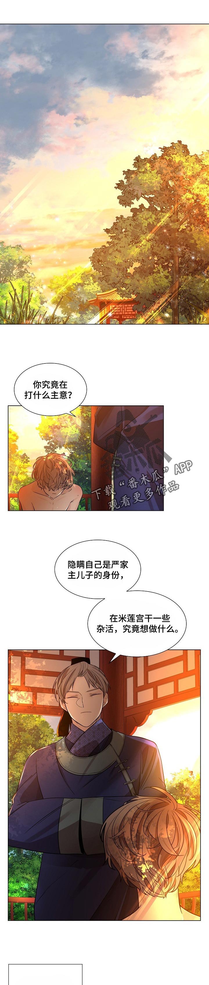 第25章：愚蒙又可悲的人