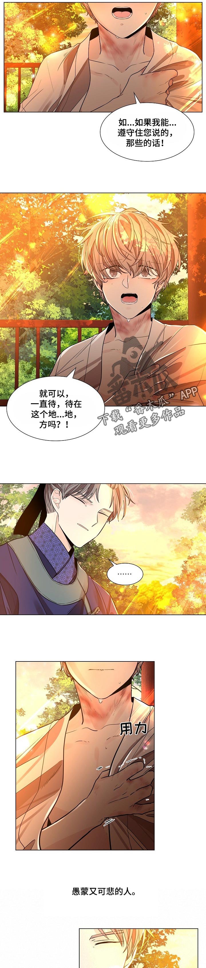 第25章：愚蒙又可悲的人