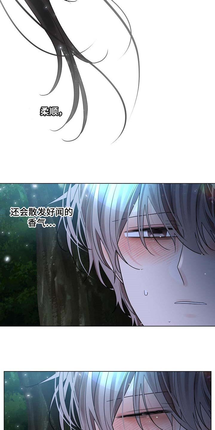 第36章：好闻的香气