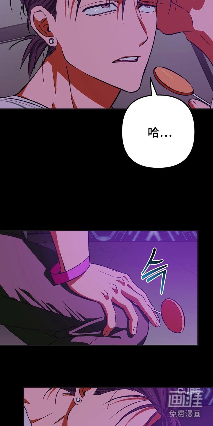 第12章：粉丝