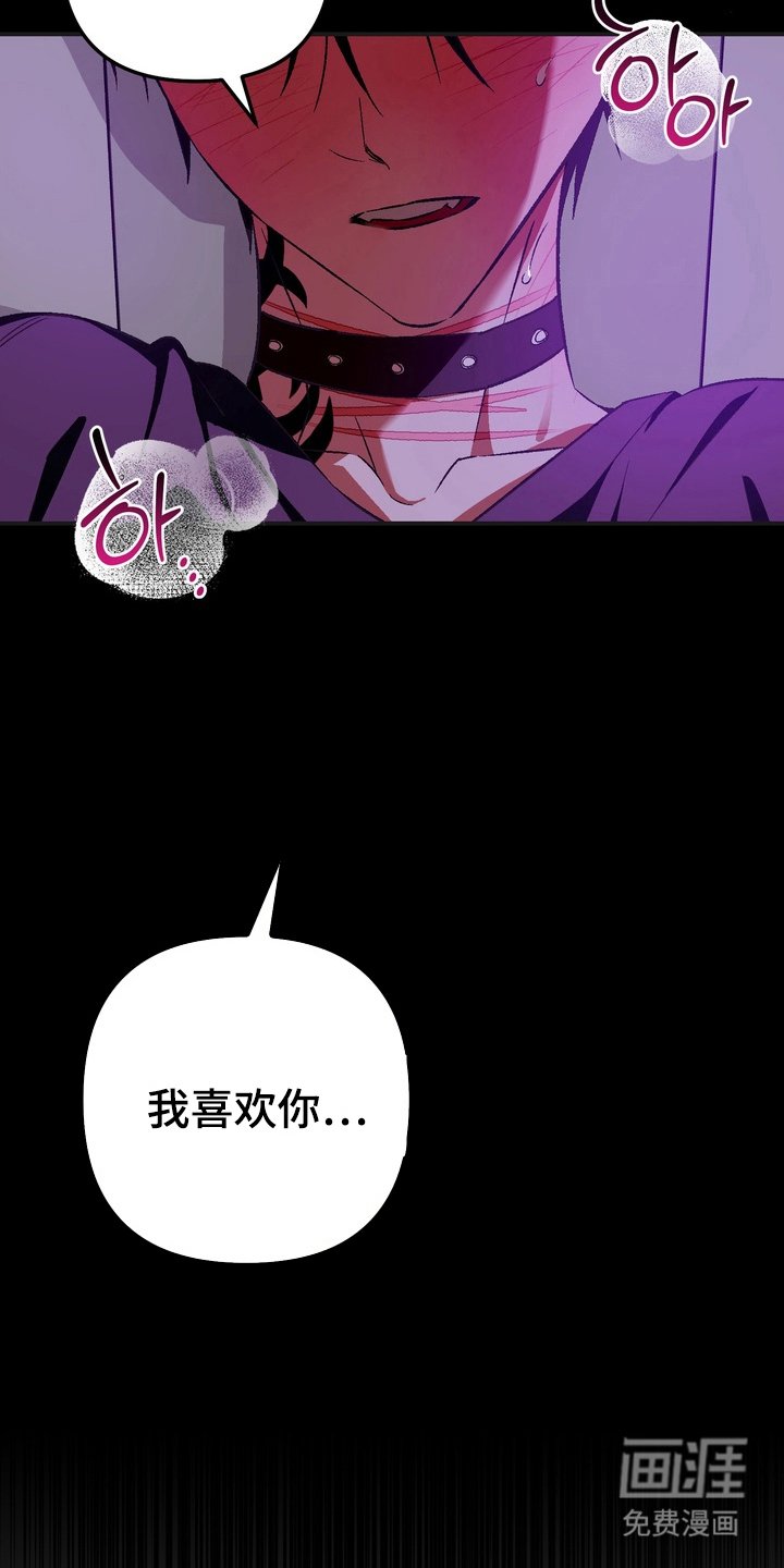 第13章：如你所愿