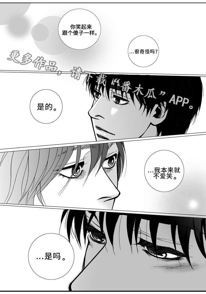 第12章：发现