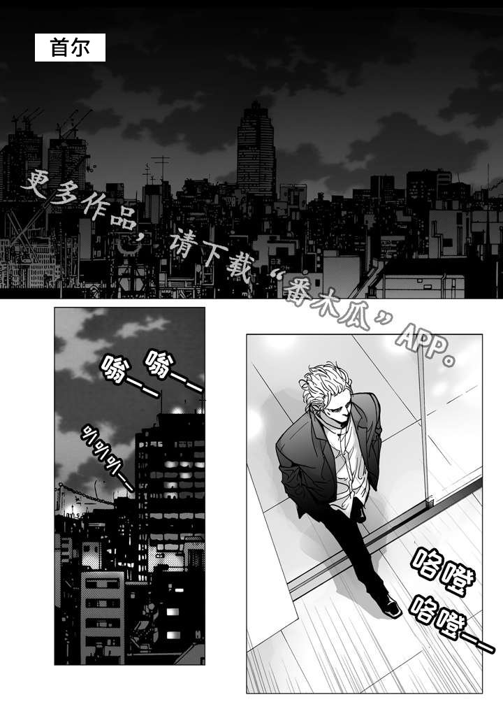第14章：保释