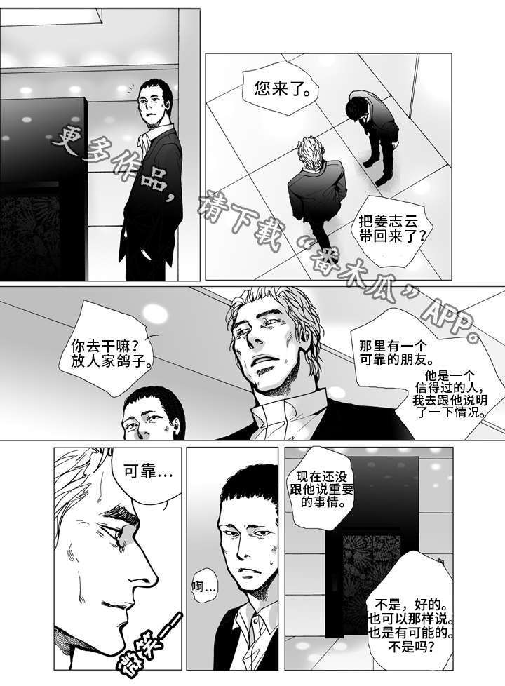 第14章：保释