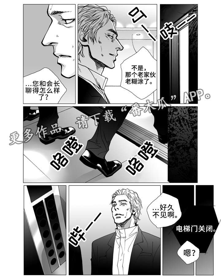 第14章：保释