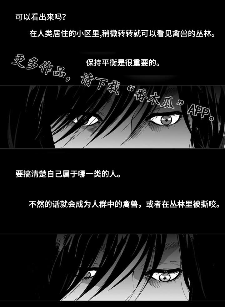第14章：保释