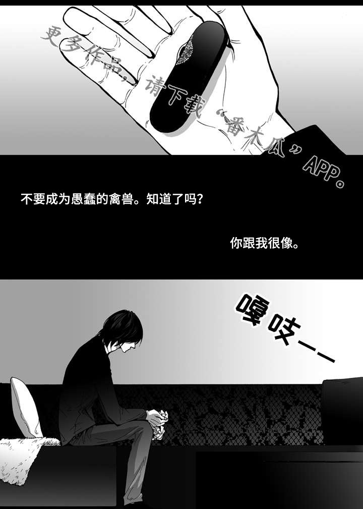 第14章：保释