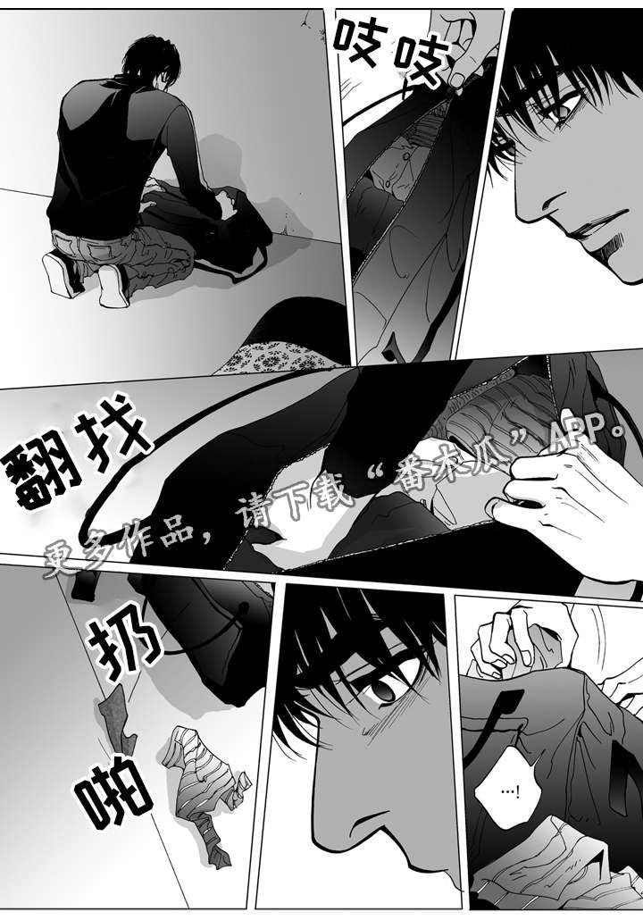 第17章：寻找