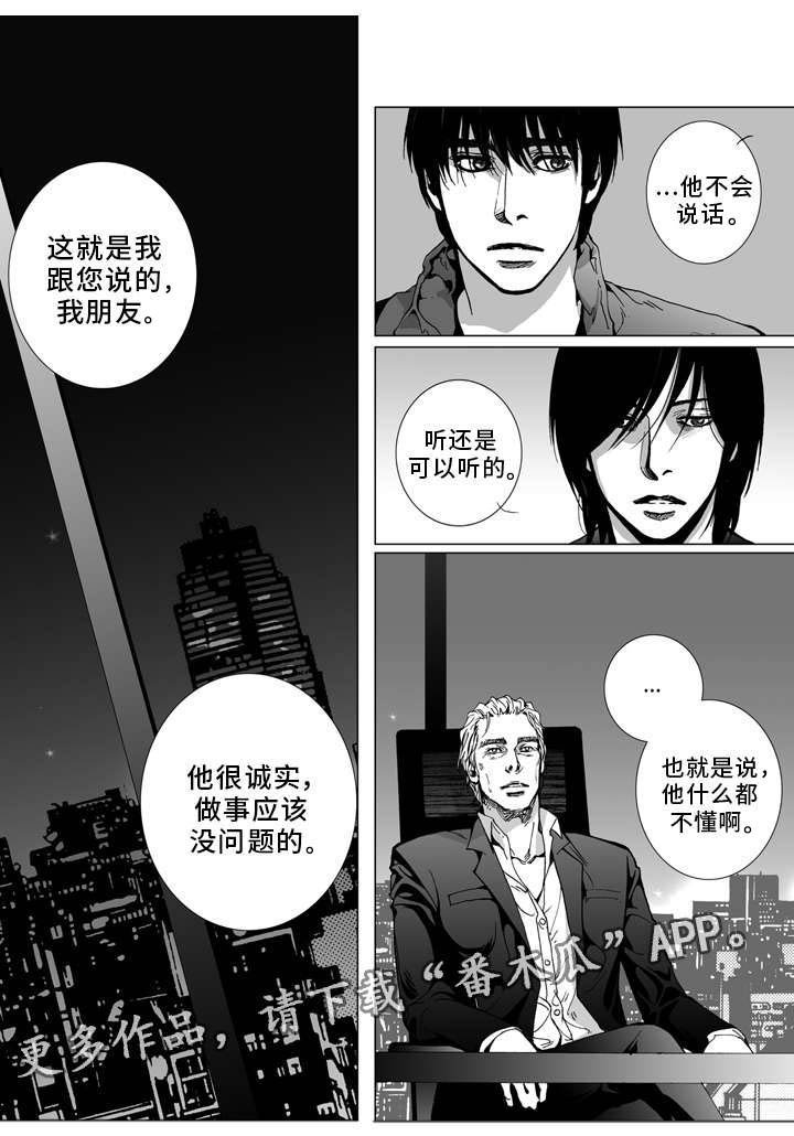 第18章：相见