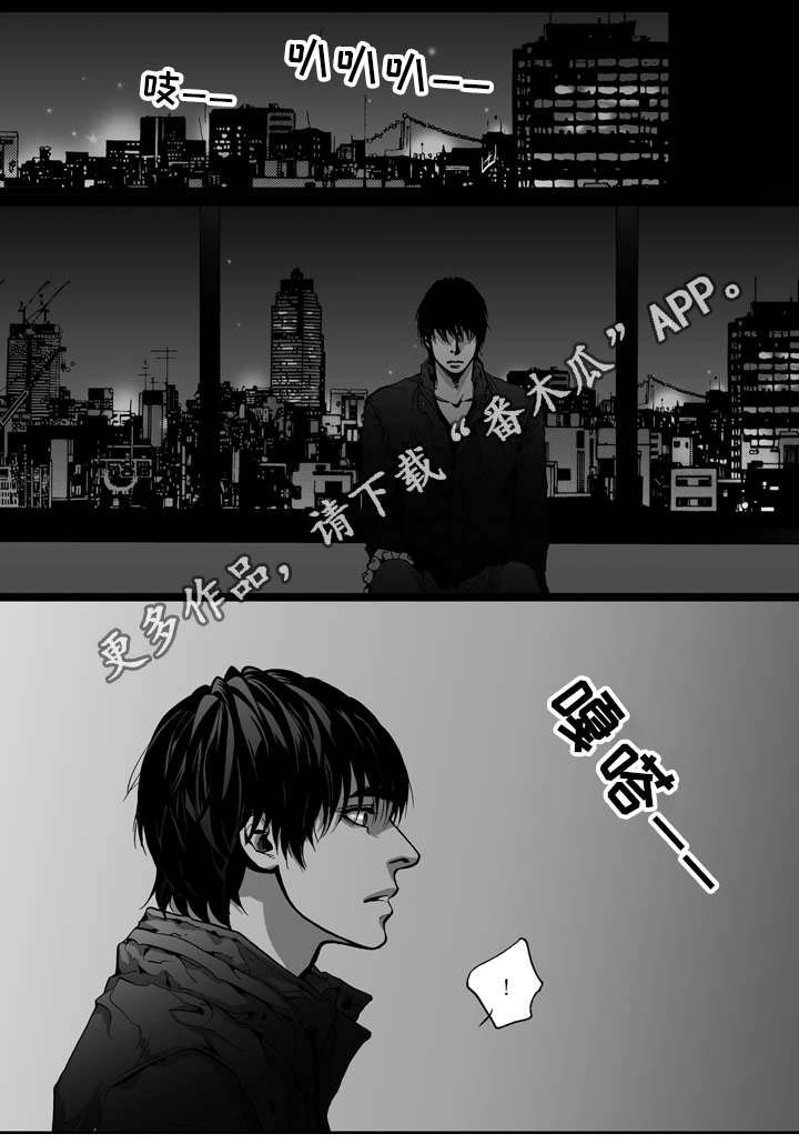 第18章：相见