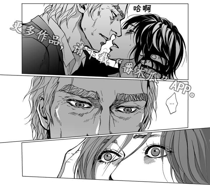 第21章：安排