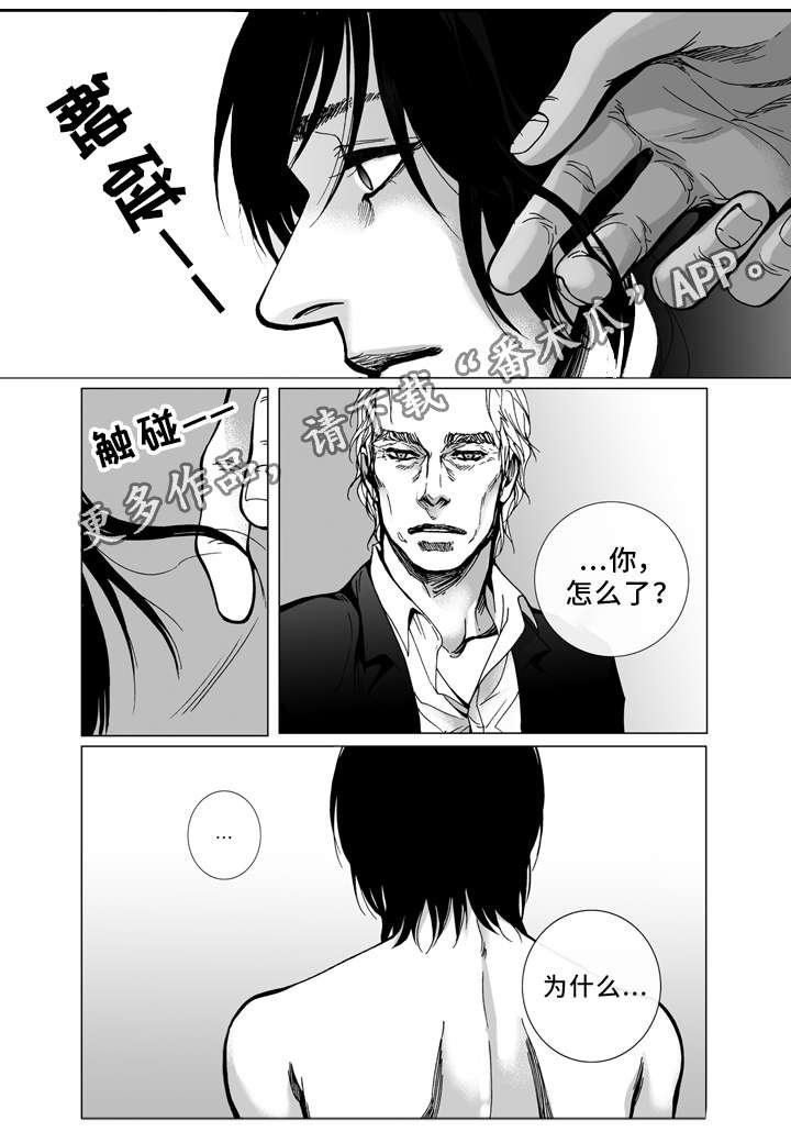第22章：理由