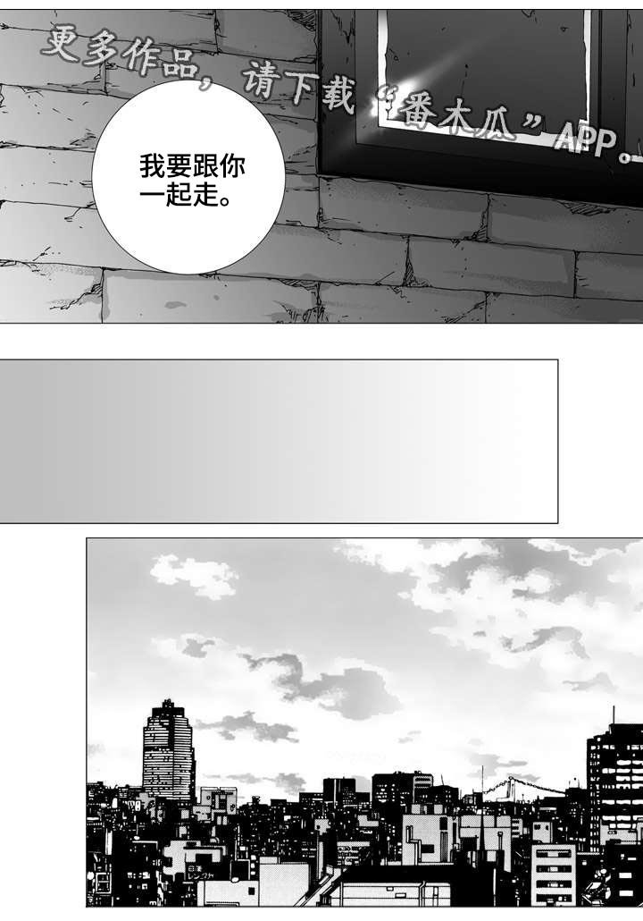 第23章：决定