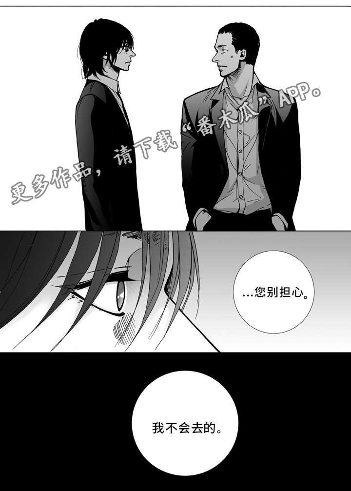 第23章：决定