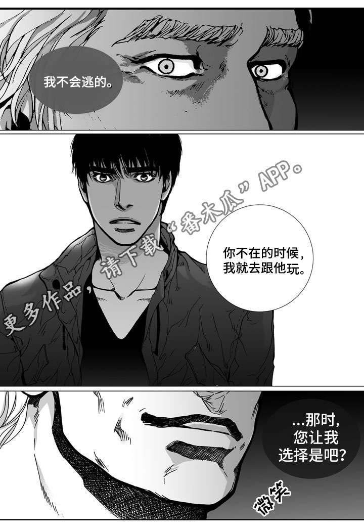 第25章：坦言