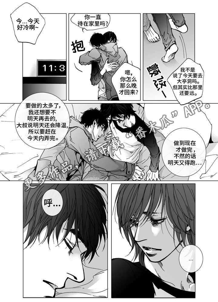 第29章：新工作