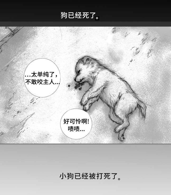 第3章：偶遇