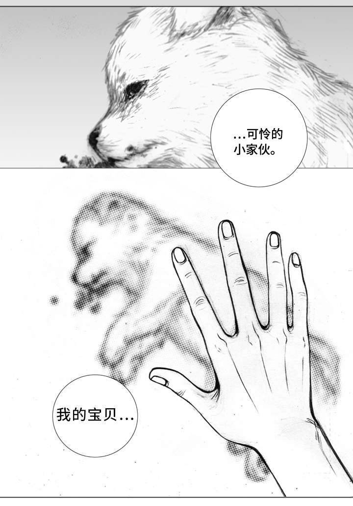 第3章：偶遇