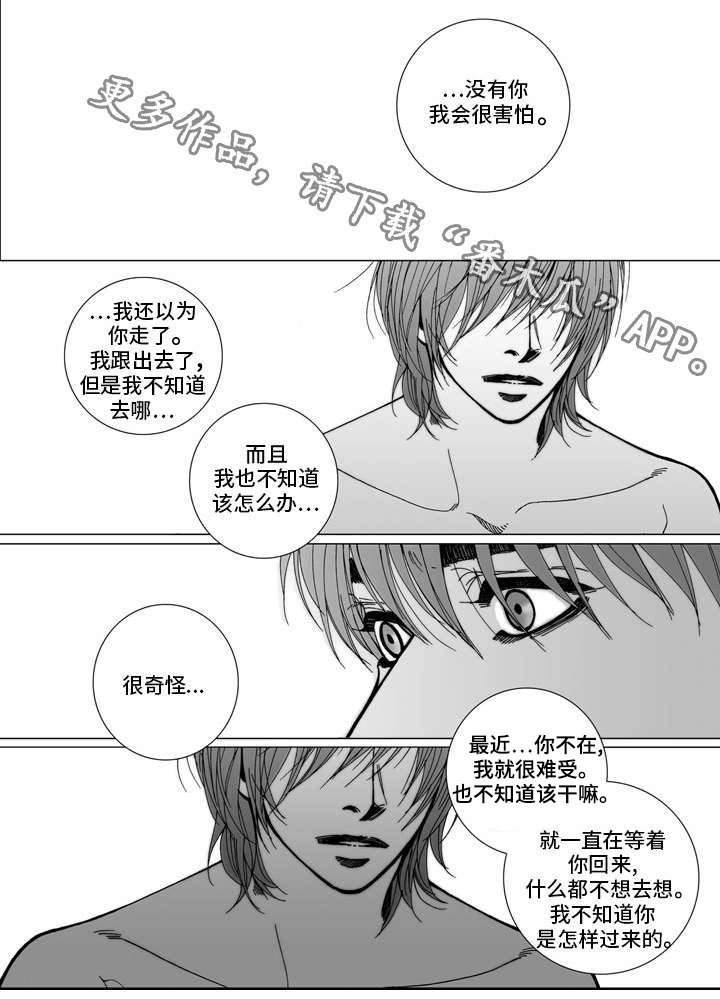 第31章：祝福（完结）