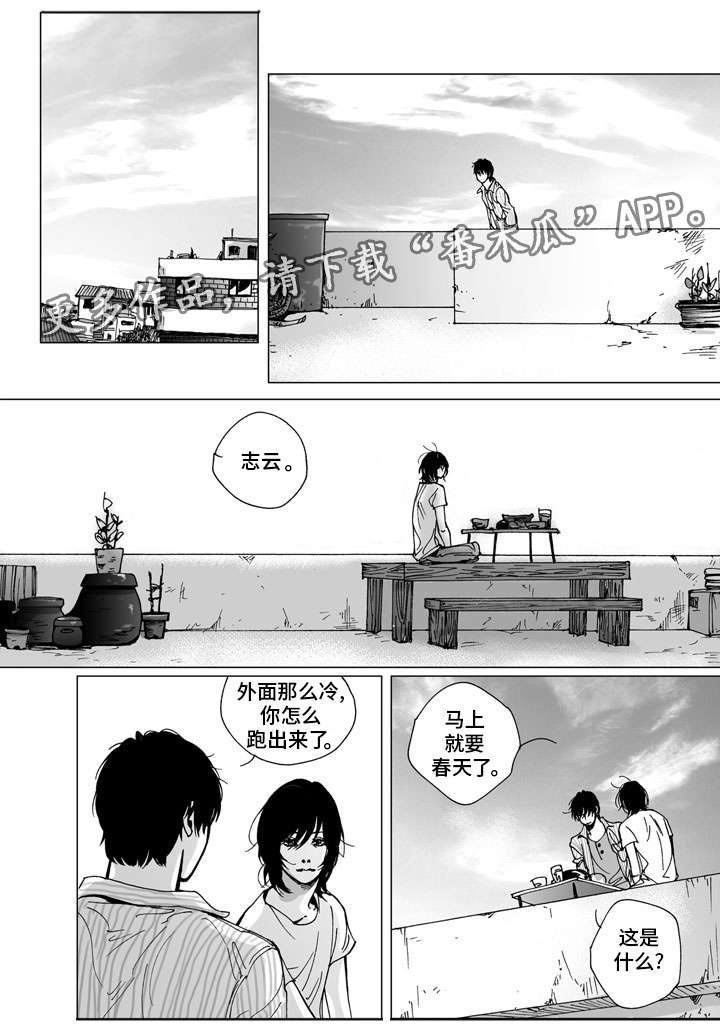 第31章：祝福（完结）