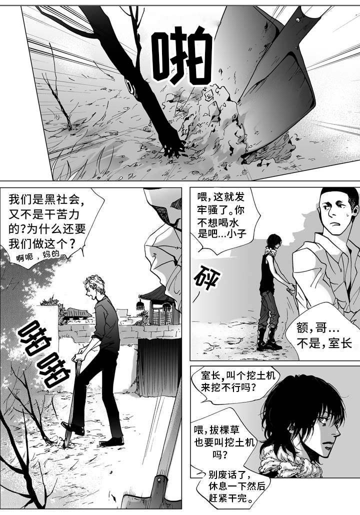 第5章：孤儿