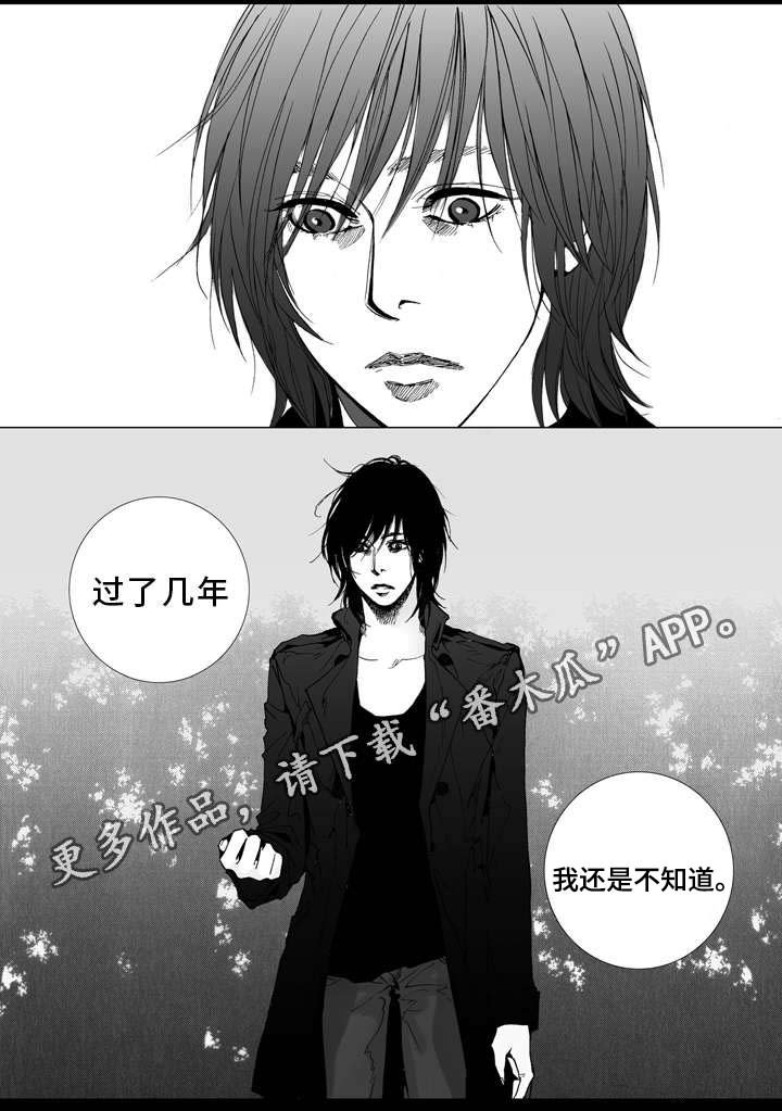 第6章：灯光