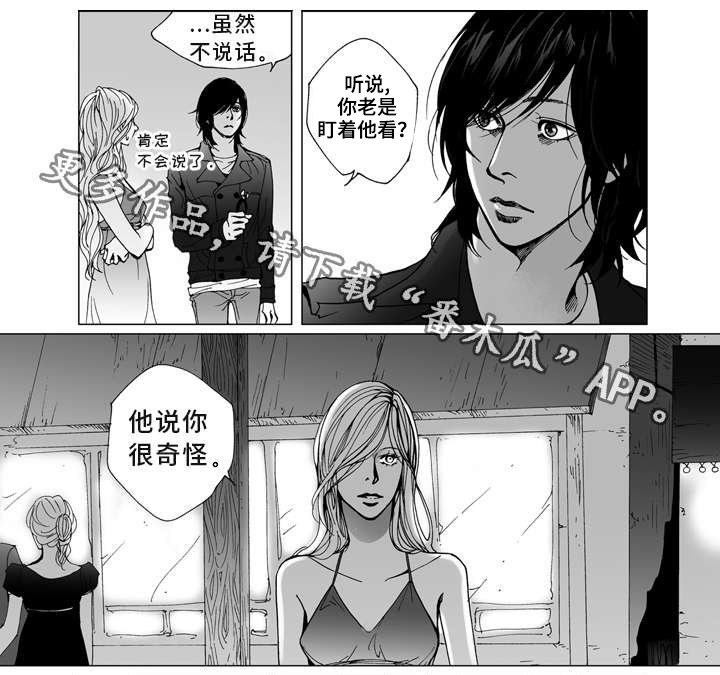 第7章：奇怪
