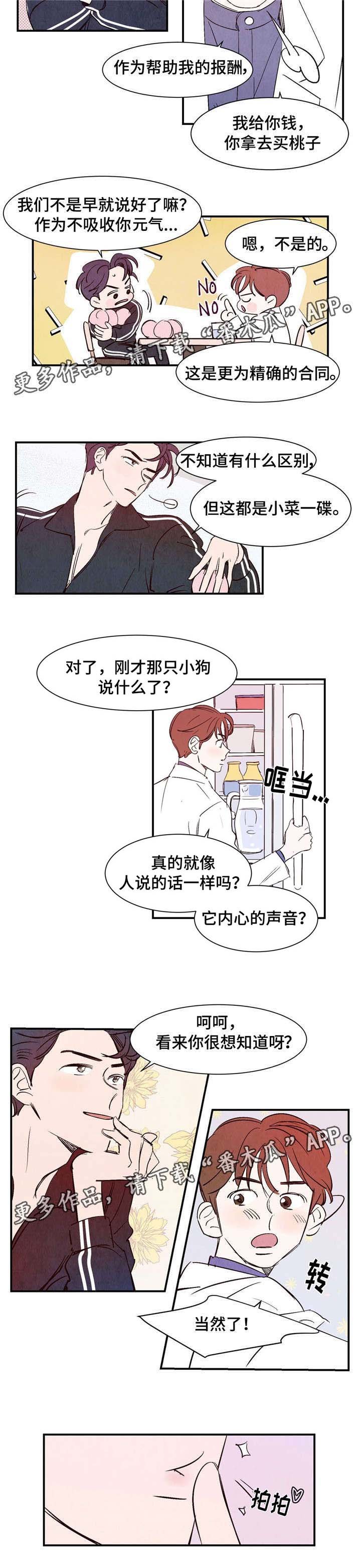 第10章：交易