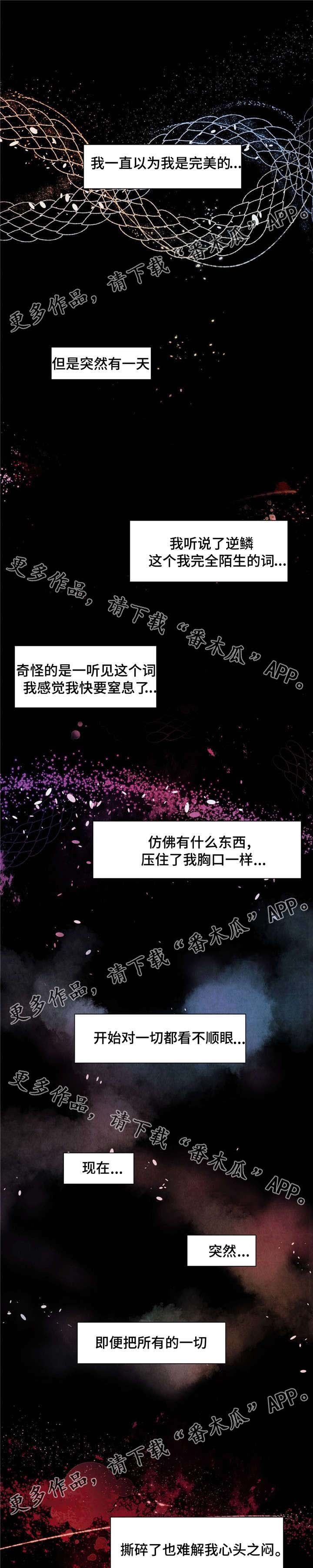 第13章：桃子味