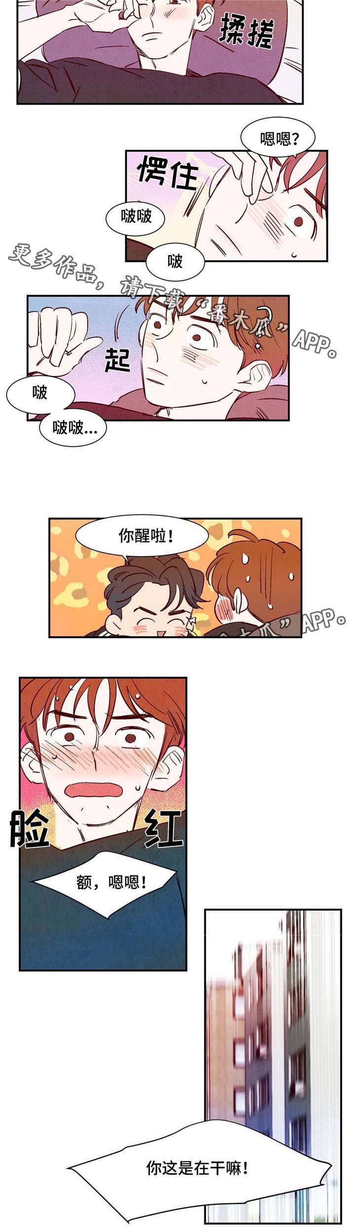 第13章：桃子味