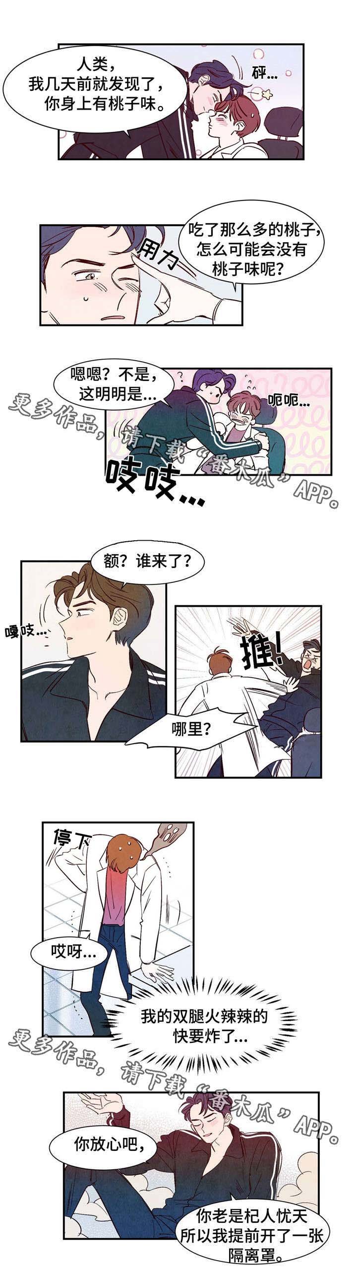 第13章：桃子味
