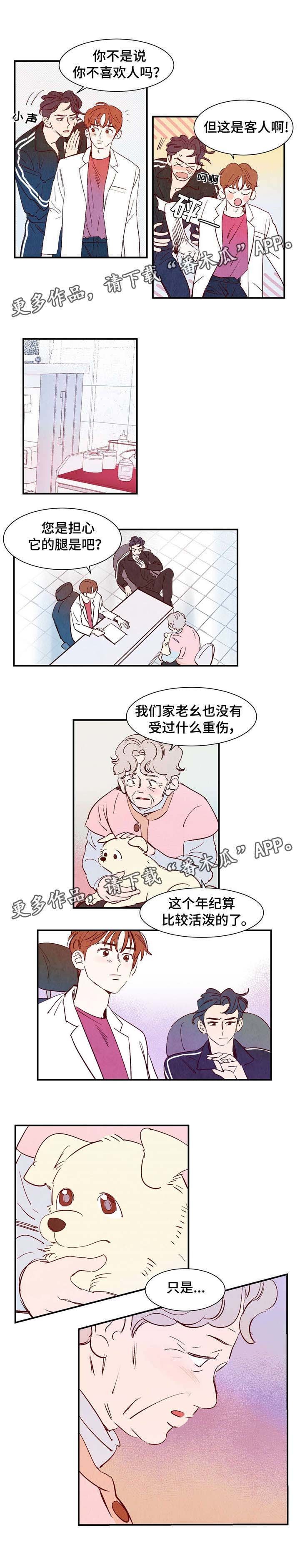 第14章：万神