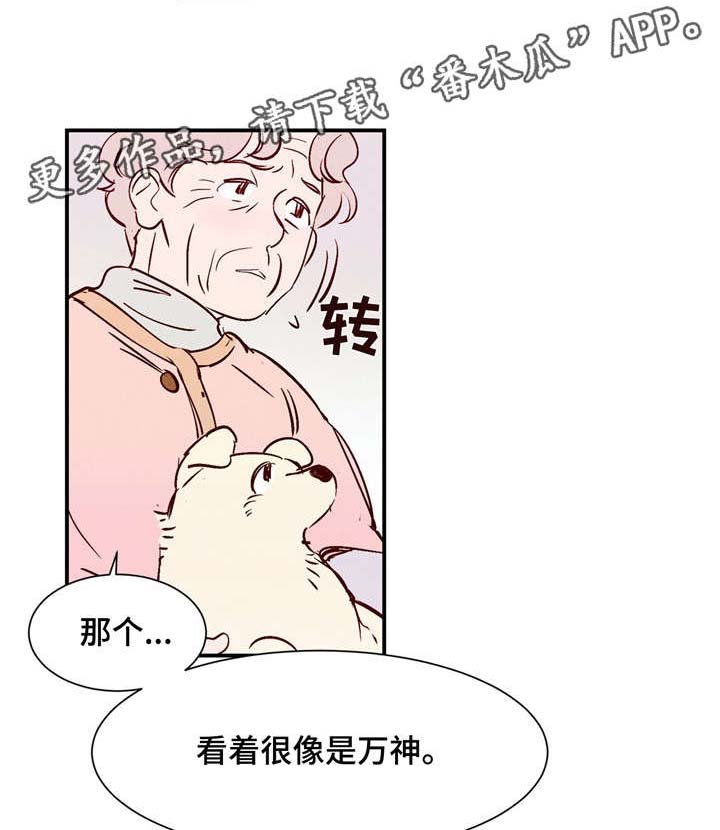 第14章：万神