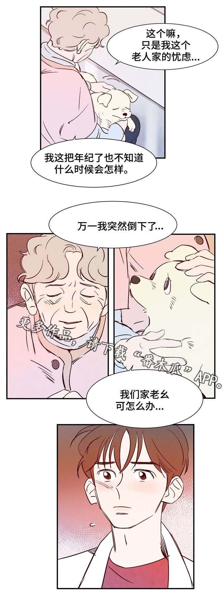 第14章：万神