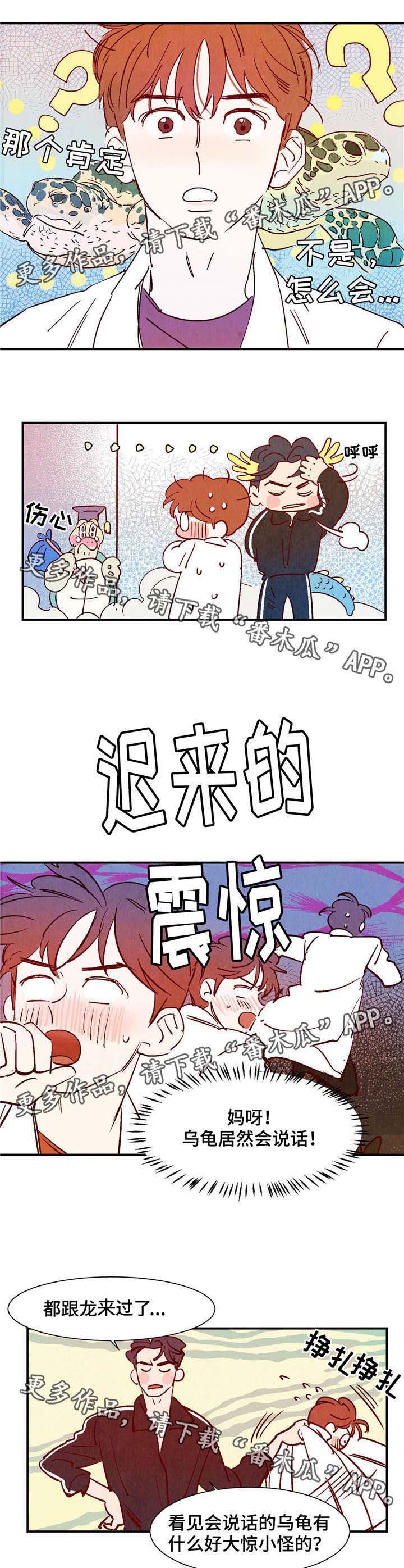 第18章：会说话的乌龟