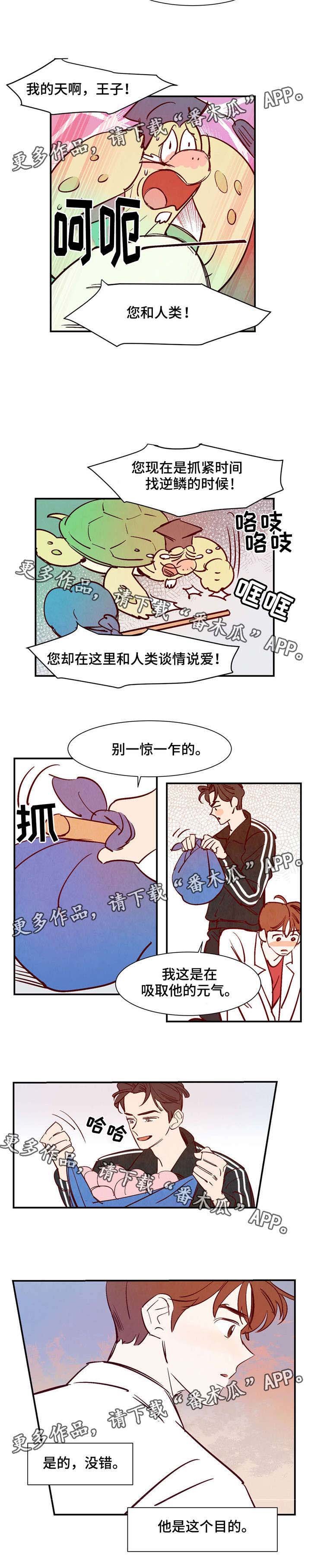 第18章：会说话的乌龟