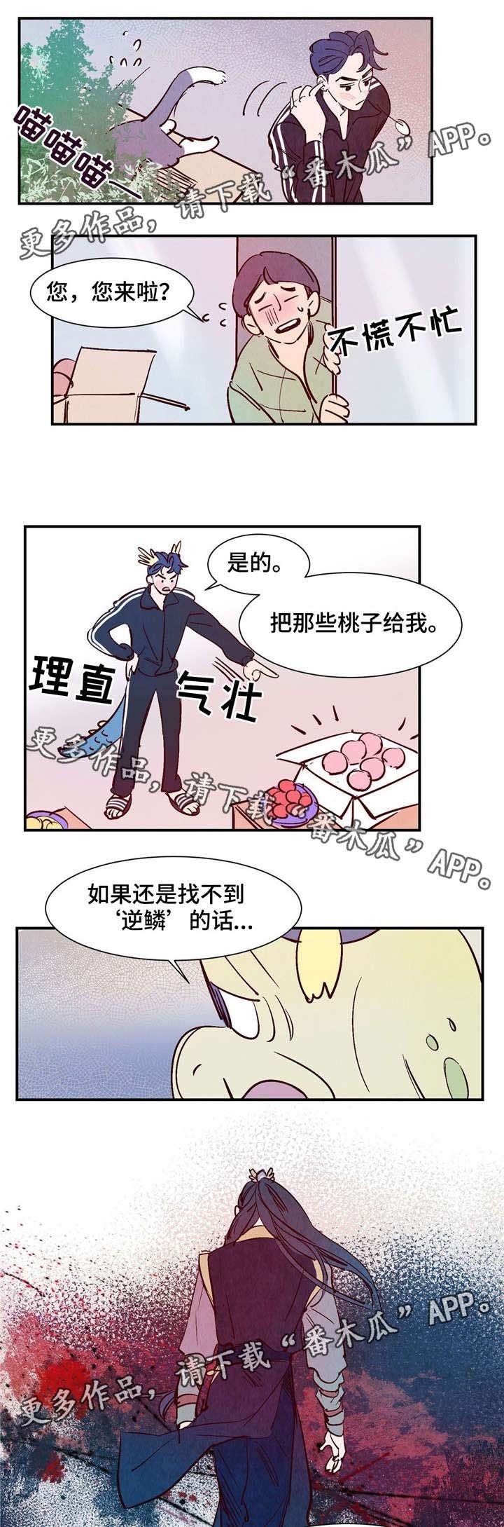 第20章：逆鳞