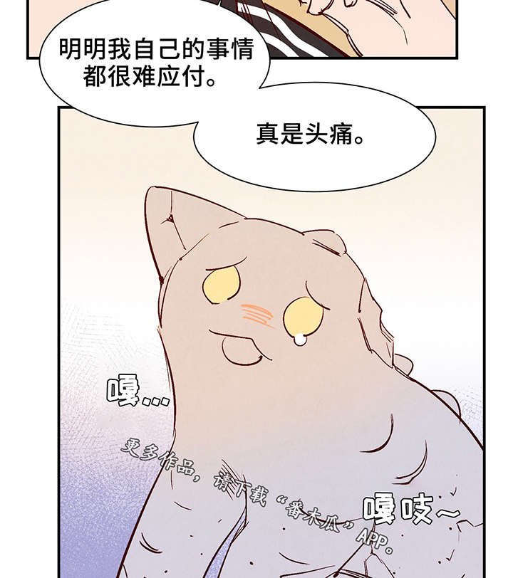 第25章：这小子不一样
