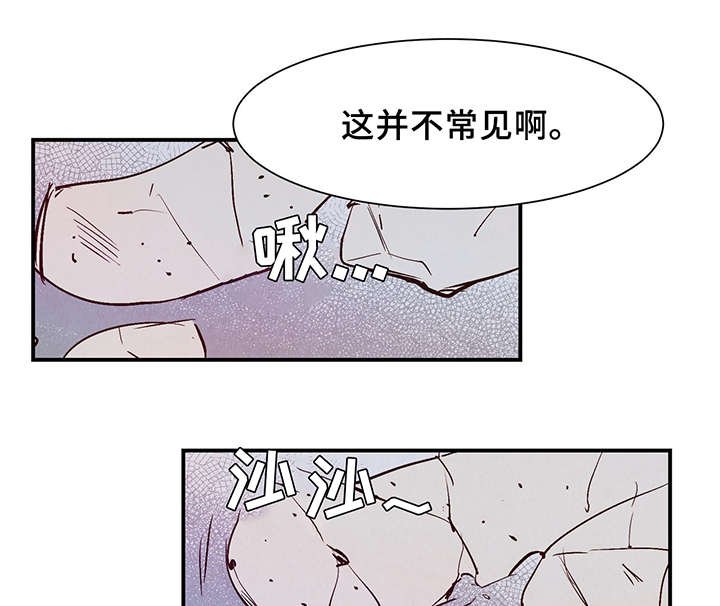 第25章：这小子不一样