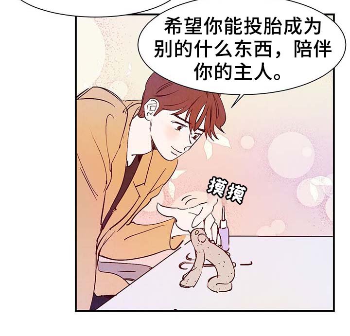 第28章：转世投胎