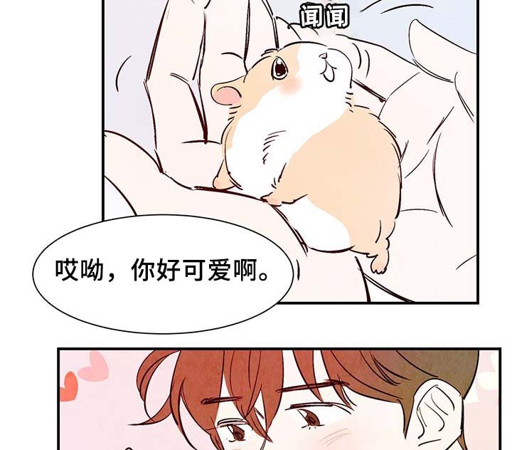 第30章：电梯