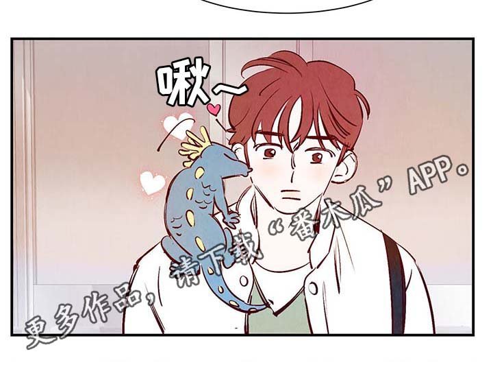 第30章：电梯
