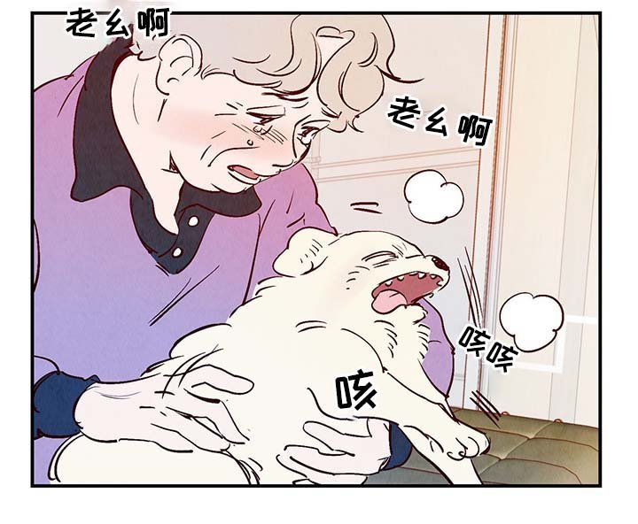 第33章：老幺