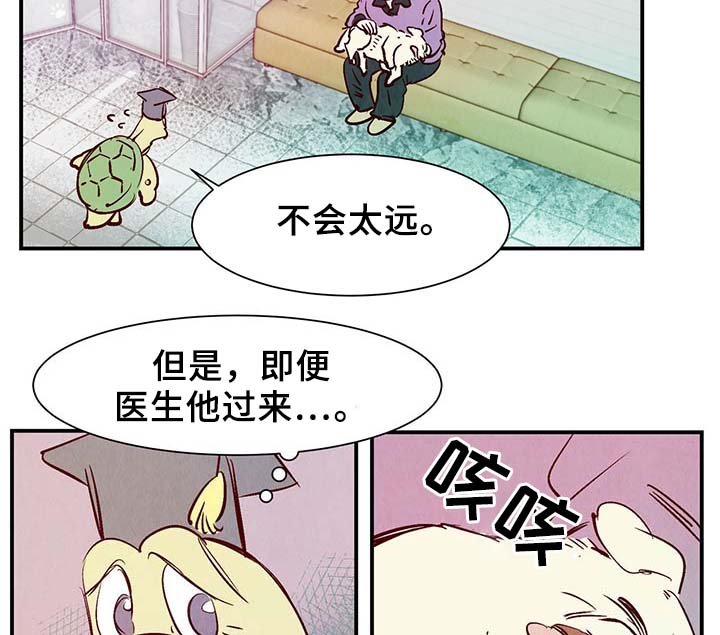 第33章：老幺