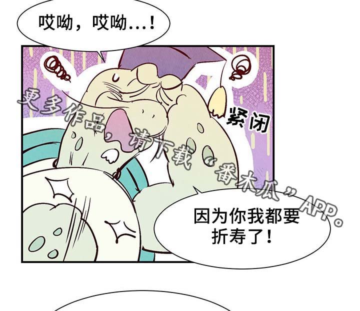 第33章：老幺