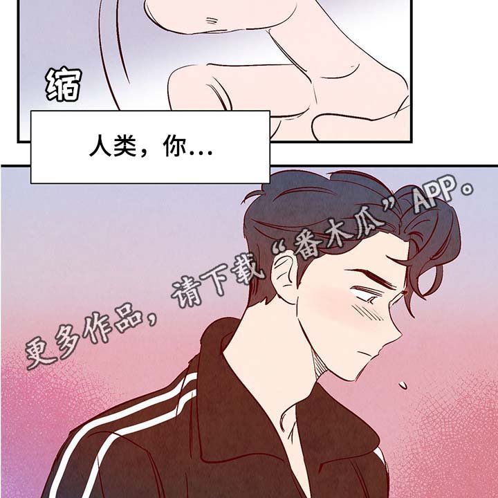 第33章：老幺