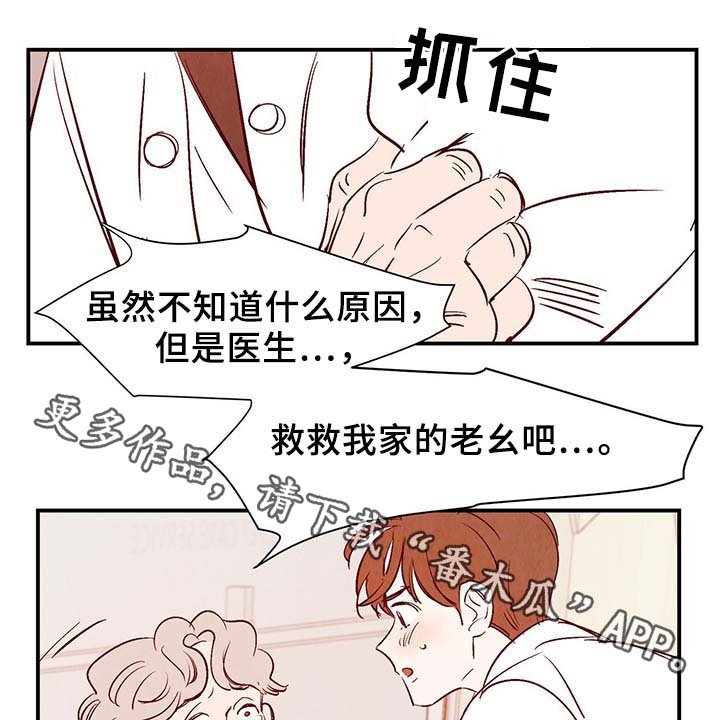 第33章：老幺