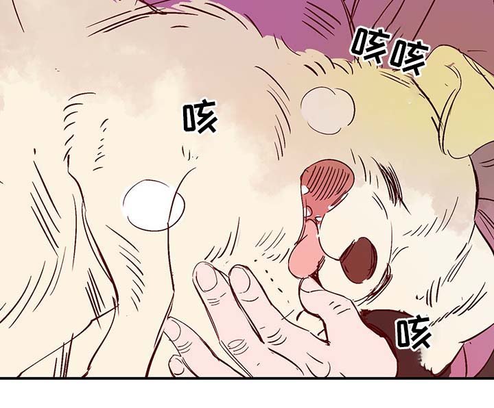 第33章：老幺