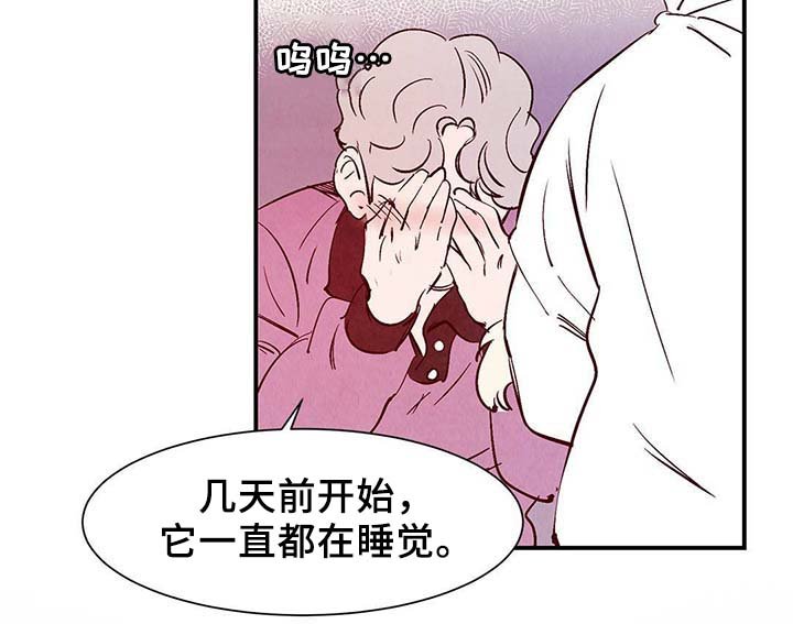 第34章：面对死亡